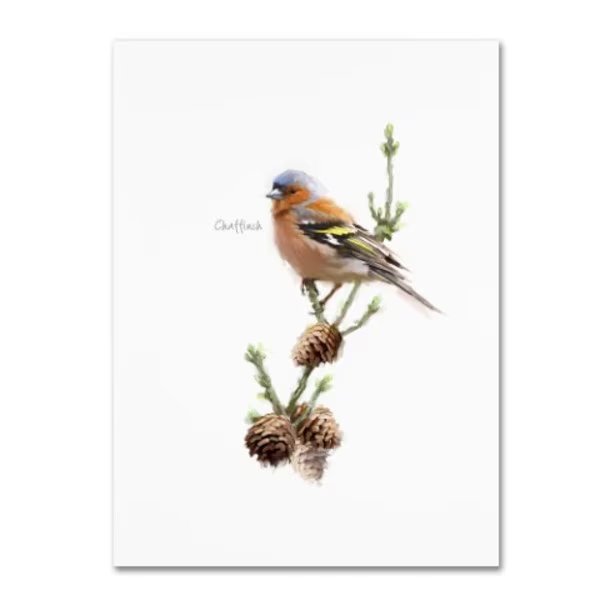 The Macneil Studio 'Chaffinch' Canvas Art, 18x24, Trademark Fine Art, Mfr#: ALI8637-C1824GG